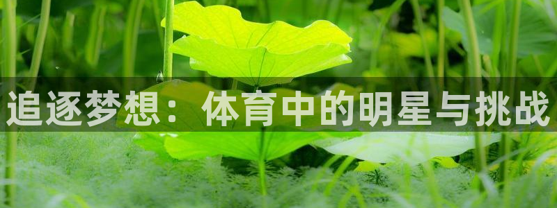 球客岛