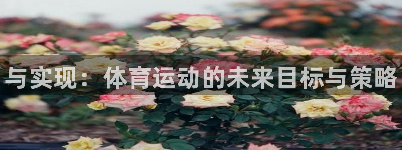 球客岛