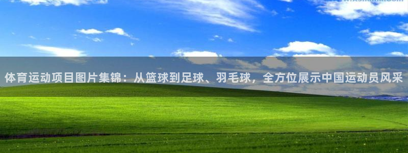 球客岛