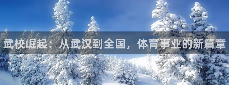 球客岛