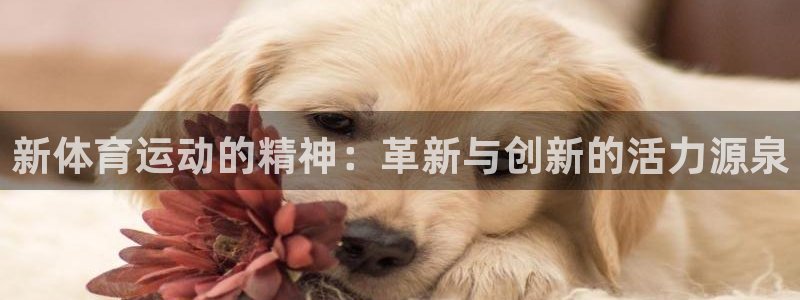 球客岛