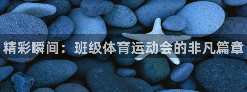 球客岛