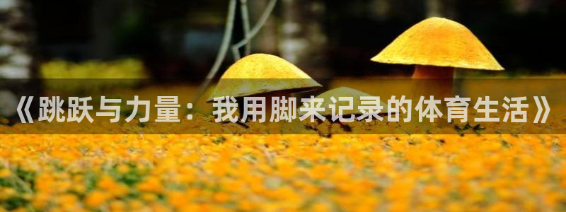 球客岛